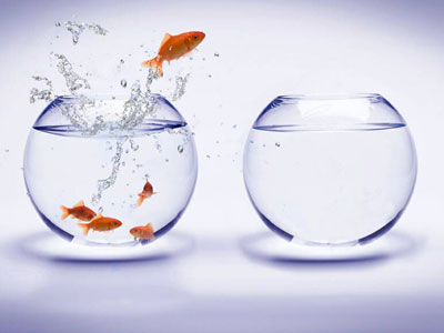 Illustration of a fish jumping out of a fish bowl