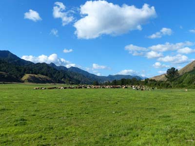 Foto einer schönen Landschaft